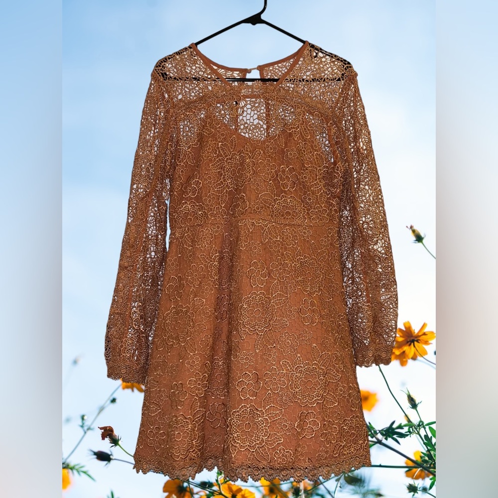 Goldie Amanda Orange Lace Dress - Picture 11 of 13
